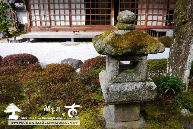 滿峯園古美樹日本庭園金福寺
