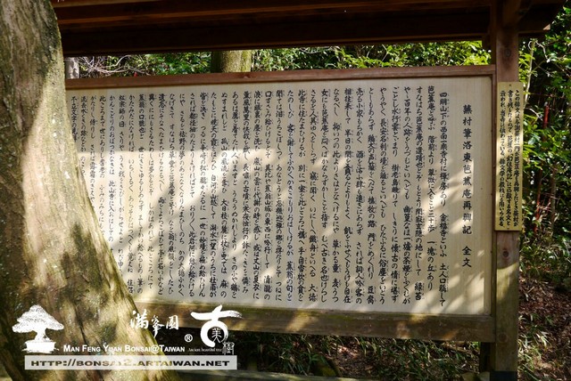 滿峯園古美樹日本庭園金福寺