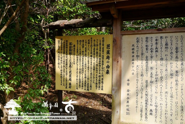 滿峯園古美樹日本庭園金福寺