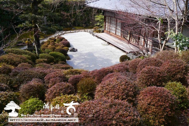 滿峯園古美樹日本庭園金福寺