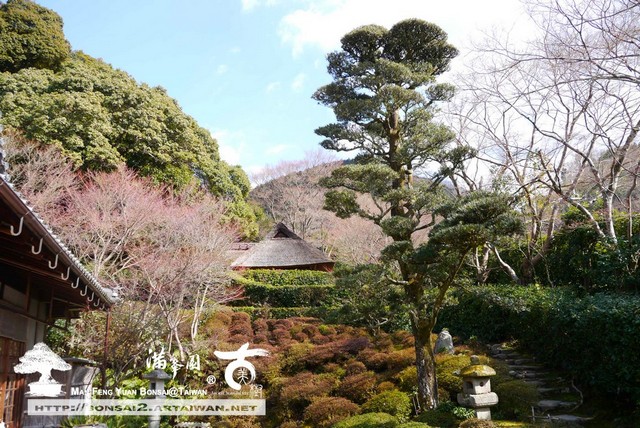 滿峯園古美樹日本庭園金福寺