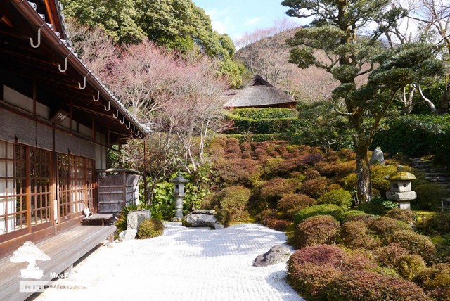 滿峯園古美樹日本庭園金福寺