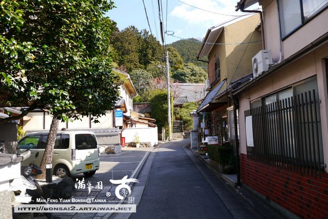 滿峯園古美樹日本庭園金福寺