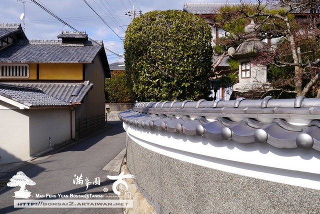 滿峯園古美樹日本庭園金福寺