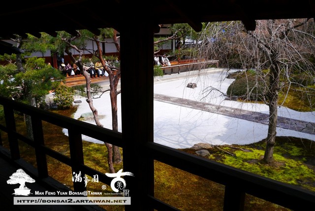 滿峯園古美樹日本庭園妙顯寺