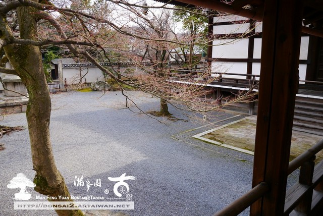 滿峯園古美樹日本庭園妙顯寺