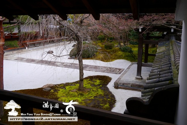滿峯園古美樹日本庭園妙顯寺