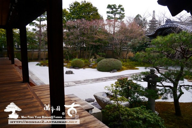 滿峯園古美樹日本庭園妙顯寺