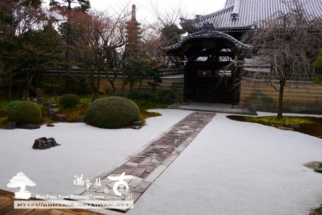 滿峯園古美樹日本庭園妙顯寺
