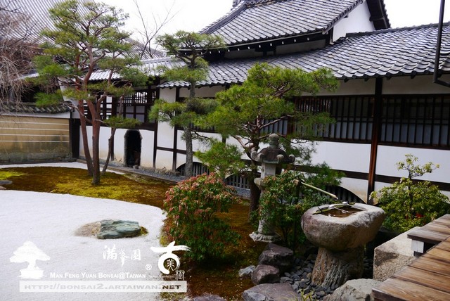 滿峯園古美樹日本庭園妙顯寺