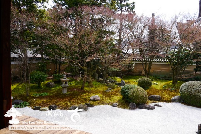 滿峯園古美樹日本庭園妙顯寺