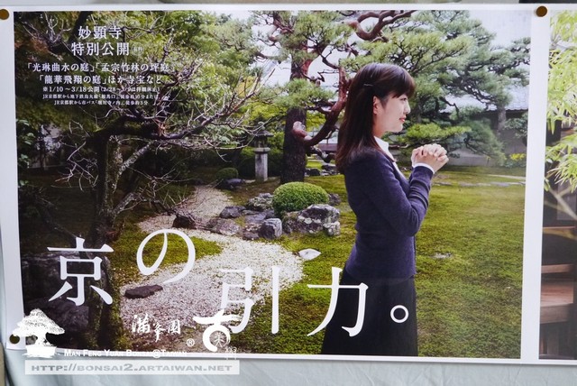 滿峯園古美樹日本庭園妙顯寺