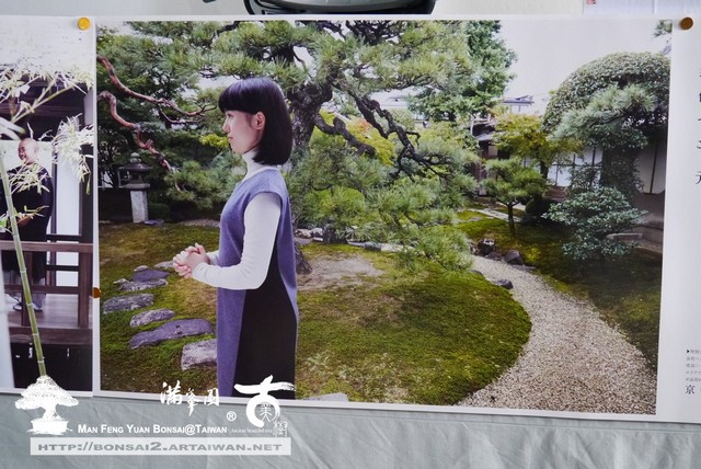 滿峯園古美樹日本庭園妙顯寺