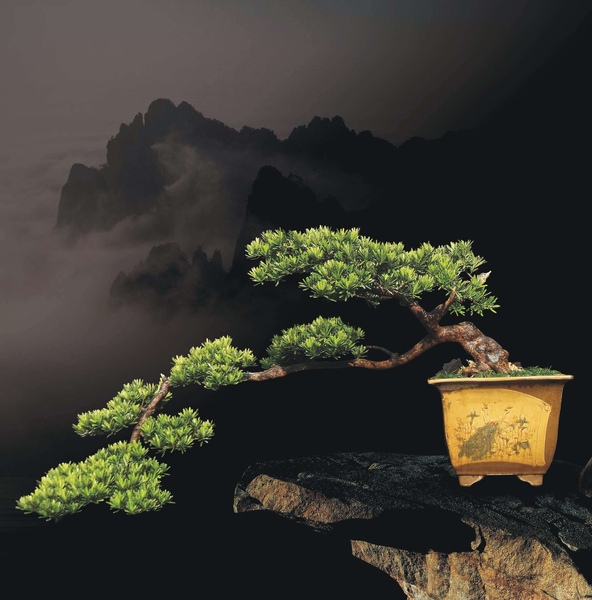 014a2 49e09dfccb49a 古美樹-9 我們的作品(Our Design)