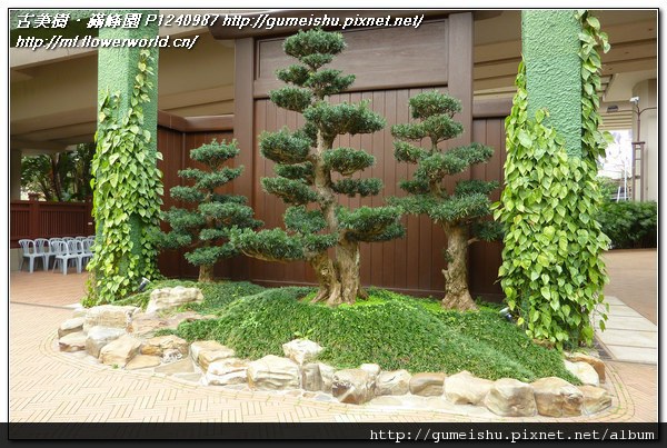 07c9f 7a9c6a6c10542c2046317394bb2fded4 n 2011~香港之旅(Hong Kong)~南蓮園池(Nanliangarden)~#1~九山八海 旅遊(Travel)、禪風庭園、香港(Hong Kong)