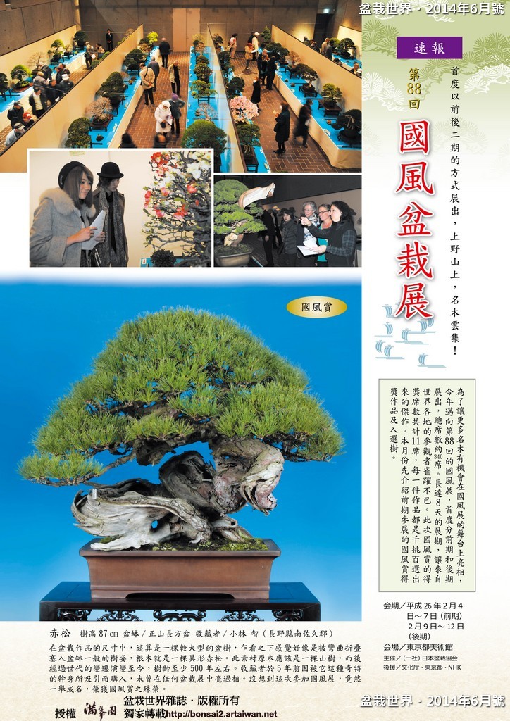 0d4a7 030 037 [盆栽世界]2014年6月號．[速報]第88回國風盆栽展