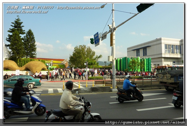 139d4 normal 486fda6e2004a479b435d1402fd08231 走馬看花之~2010臺北國際花卉博覽會~#7~花博剪影 盆栽樂趣(Travel)