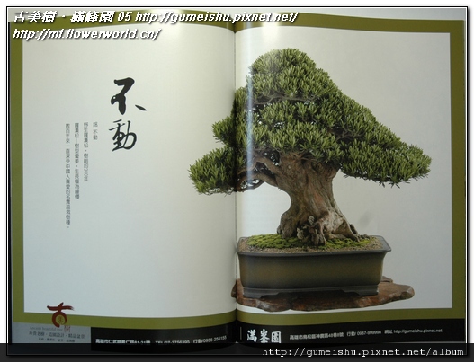 153bf dc269963609b37ea54374c2d09284404 2011年5月號~~古美樹．滿峰園~最新平面廣告 我們的作品(Our Design)
