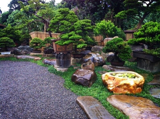 1a224 20130131 072336 2013／1／31@滿峰園