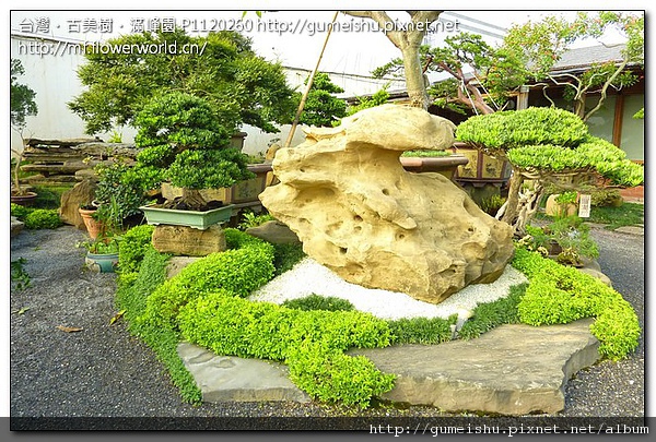 24840 13c741962c872b41427044a5fff3e4d8 古美樹剪影~#2 我們的作品(Our Design)