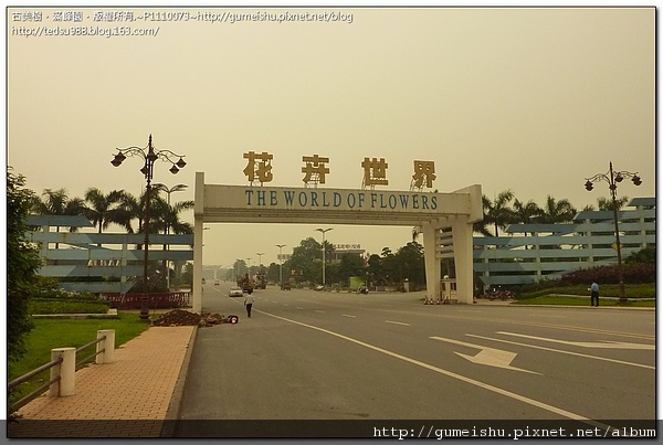 27340 8d6ca870c236a16f6252b5c0d6233cb7 2010~大陸之旅記事~花卉世界~#1 盆景(Penjing)