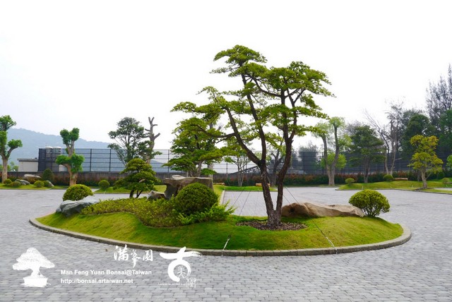 292c4 p1120103 禪風庭園．大吉座庭園設計(4) 客戶案例