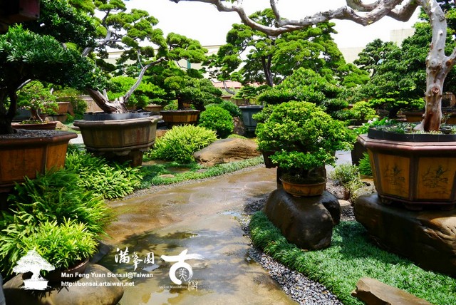 31d10 p12205571 作品集．滿峯園の庭(2) 古美樹(Gumeishu)