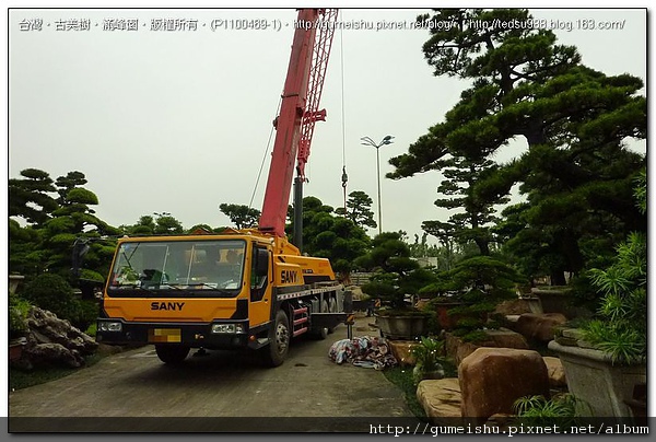 4f526 7a2d63609c6a58fac7296d54d9a543bb 2010~大陸之旅記事~吊車多、卡車多~#5 盆栽樂趣(Travel)