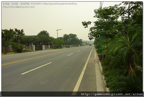 50c4c 023e0ba52ff63d7b0165436e6b17185b 2010~大陸之旅記事~條條大道vs小橋流水#2 盆栽樂趣(Travel)