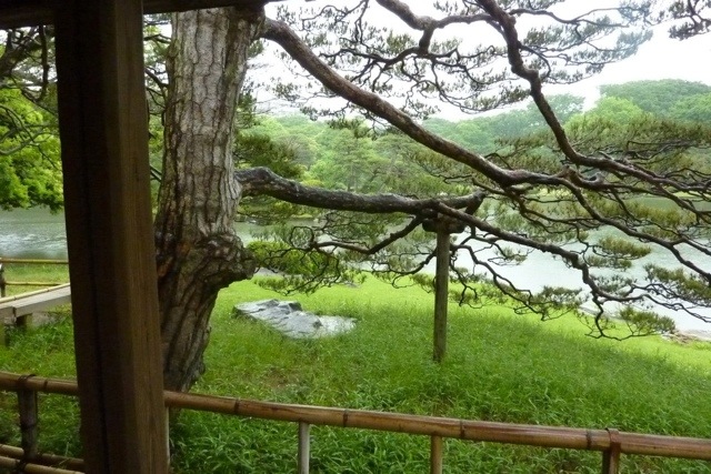 5370f 20130108 064841 2013／1／8[六義園@2012] 日本庭園