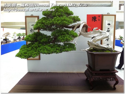 5421b img 1230 2011港都壽山展(2011 Kaohsiung Bonsai Exhibition)~Tour#3 旅遊(Travel)