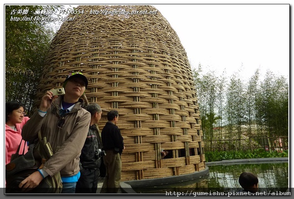 5476a normal e606737de5dd8c2f94008c9023282e85 走馬看花之~2010臺北國際花卉博覽會~#10~寰宇庭園區~完結篇 盆栽樂趣(Travel)