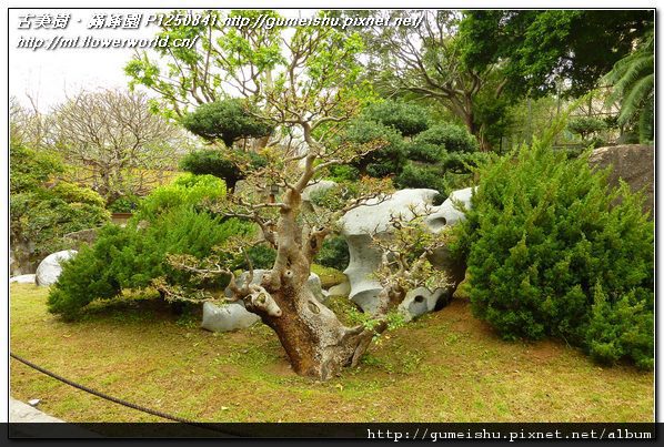 55322 e74b908fc35b4fc43e62d917099ae7f7 2011~香港之旅(Hong Kong)~南蓮園池(Nanliangarden)~#14~最終篇 旅遊(Travel)