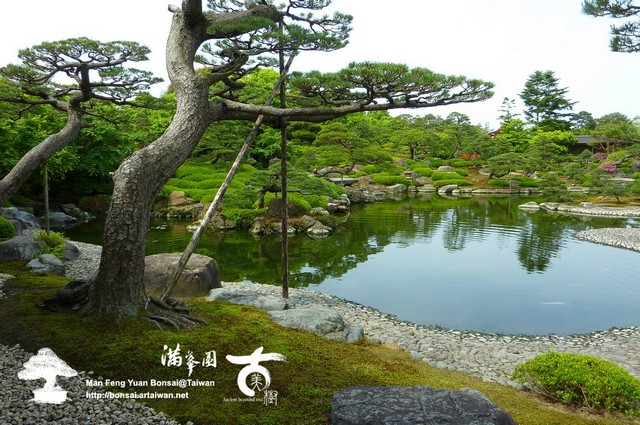 5a88a p1520186 [日本庭園]季節の庭．由志園(1) 日式庭園(Japanese Style Garden)