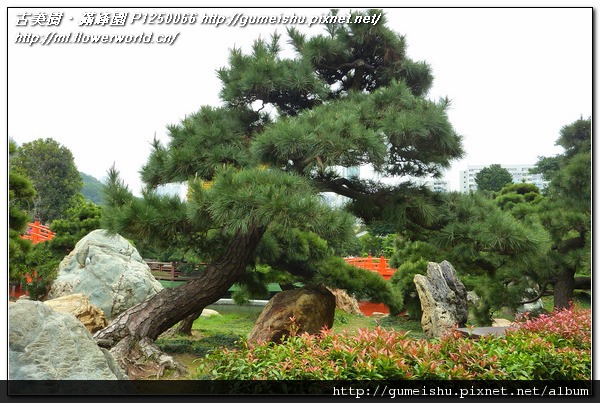 73499 f5cc039deec29156edb21a2222a84b35 n 2011~香港之旅(Hong Kong)~南蓮園池(Nanliangarden)~#3~圓滿閣 旅遊(Travel)、禪風庭園、香港(Hong Kong)