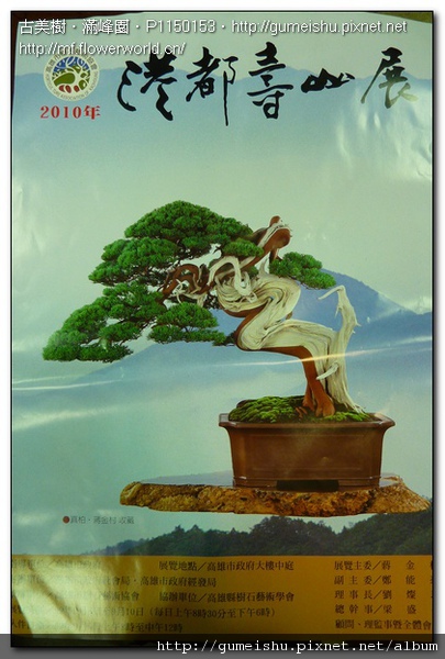 7b214 normal ee90044a10364860fc34a81c3ad3875f 2010年~港都壽山展~9.6~9.10 盆栽樂趣(Travel)