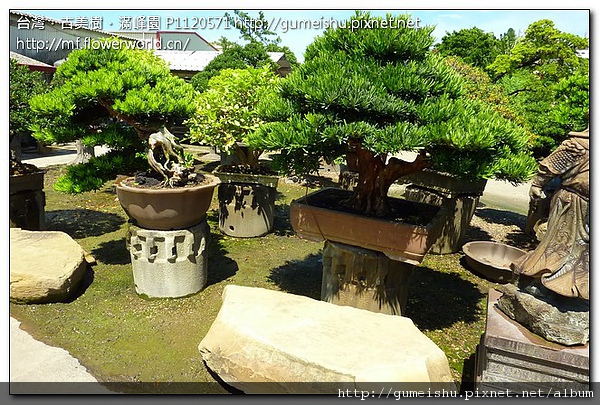 7bfd1 320c48fc4465fef983c483b005905e6d 滿峰園剪影~#3