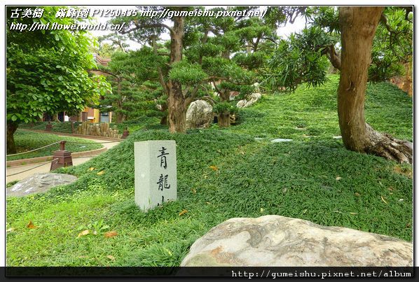 7fca6 ecb935931cd449c1a17abac9e79db49e 2011~香港之旅(Hong Kong)~南蓮園池(Nanliangarden)~#10~青龍山&松北路 盆栽樂趣(Travel)
