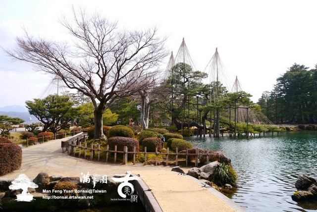 81cb0 p1070570 [日本庭園]日本三大名園．金澤兼六園(1)