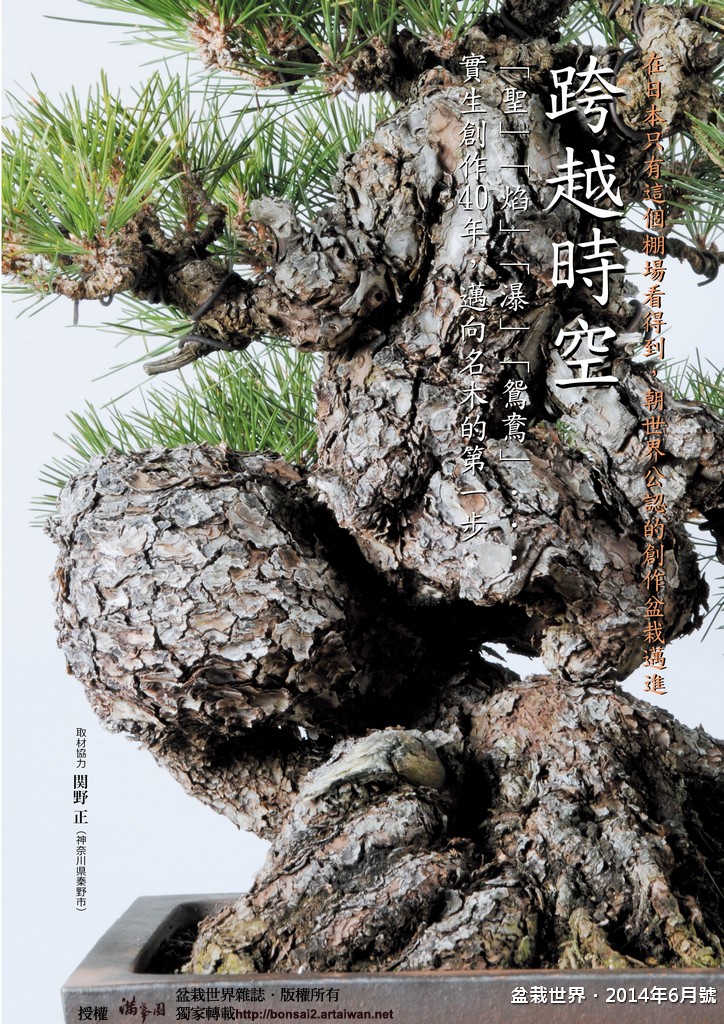8d1f1 052 057 [盆栽世界]2014年6月號．[特別企劃]實生創作40年，邁向銘木的第一步