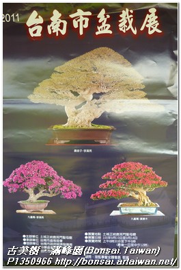 91cd9 p13509661 2011 台南市盆栽展~2011 Tainan City Bonsai Exhibition~#1 展覽(Exhibition)