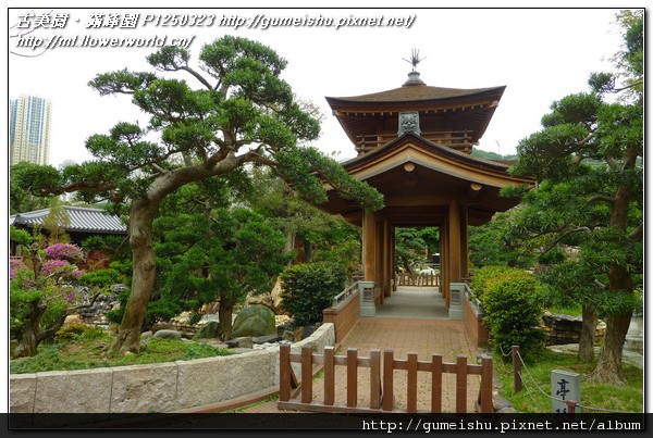 9c54b 1bddfb4957efdbdd89e117028fe76d4a 2011~香港之旅(Hong Kong)~南蓮園池(Nanliangarden)~#8~亭橋&水松 旅遊(Travel)