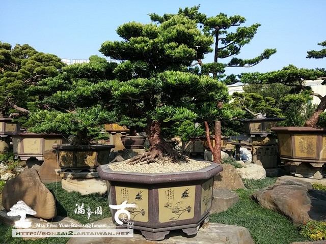 9d7bf 16157244970 13274abc34 o 以歡喜心，做歡喜事 蛻變專題(The plan)