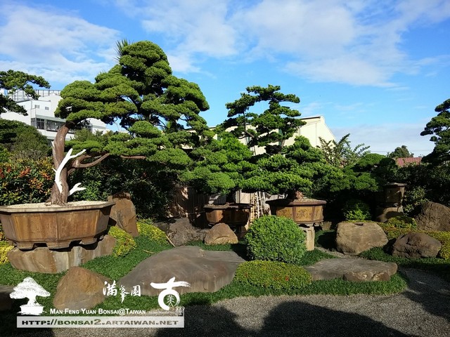 9dbc2 15652984834 08c412c70f o 雨過天晴的天空，映照庭園 我們的作品(Our design)