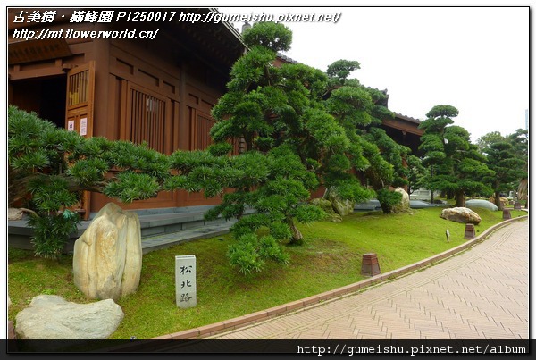 9dc3a 8fa1d7d248f5405ee15dc8a0552f7baa n 2011~香港之旅(Hong Kong)~南蓮園池(Nanliangarden)~#2~紫微山 旅遊(Travel)、禪風庭園、香港(Hong Kong)