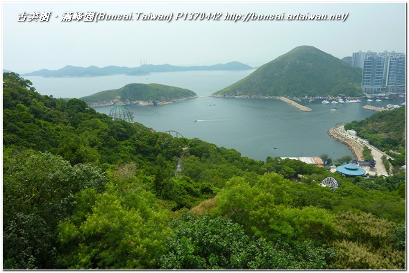 9f49b p1370442 Kids trip @Hong Kong 2011~#4~Ocean Park 旅遊(Travel)