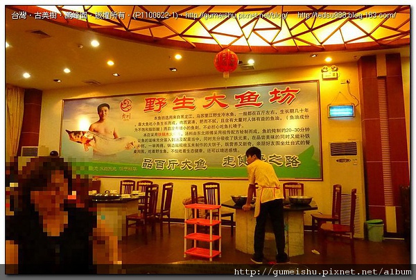 ad196 7781012c14a4da798b06ad38016c7b63 2010~大陸之旅記事~野生大魚坊~#7 盆栽樂趣(Travel)