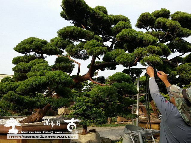 b02c1 16092478532 0fddb6956e o 美好意義的堅持