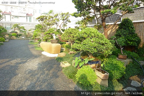 b4a1a 4bafdfc28f46e 專業庭園造景-古美樹剪影#1 盆栽(Bonsai)