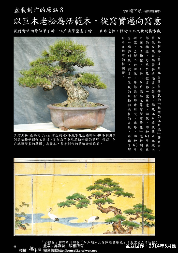 b5fc6 063 065 [盆栽世界]2014年5月號．以巨木老松為活範本，從寫實邁向寫意